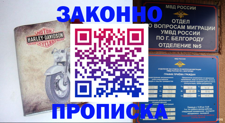 прописка для школы в Белгородской области